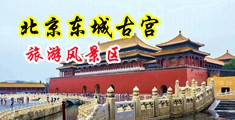 国产淫荡的小浪逼中国北京-东城古宫旅游风景区